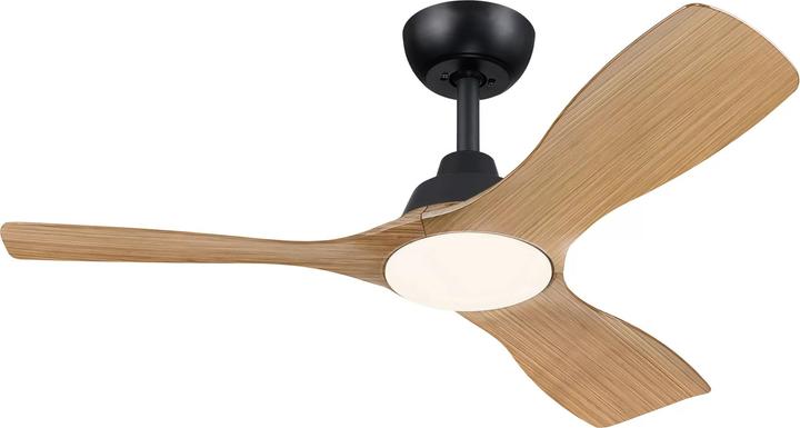 Philips Olas