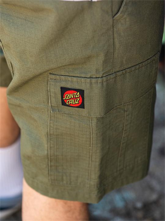 Actual product image Santa Cruz Defeat Workshort (32)
