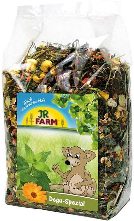 JR Farm Basic Degu Special (2 kg, 1 x)