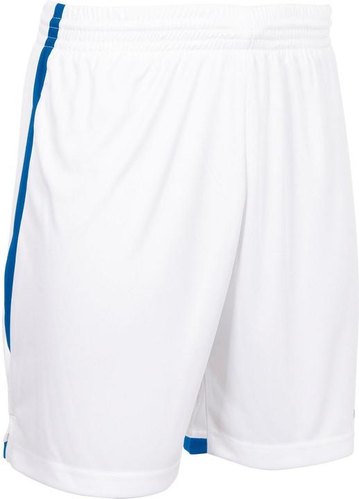Actual product image Stanno Focus Shorts II (XL)