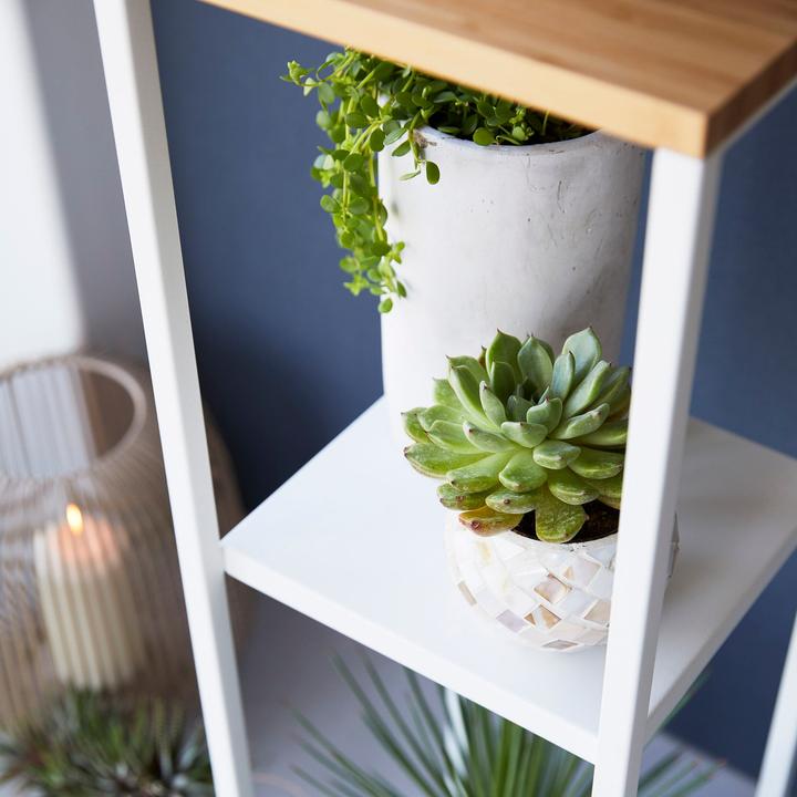 Image du produit Yamazaki Étagère à 2 niveaux avec plateau en bois TOWER