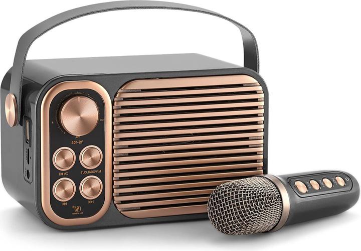 Actual product image Alpowl Mini karaoke machine