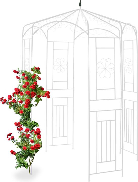 Produktbild Relaxdays Rosenpavillon (160 cm, 160 cm)