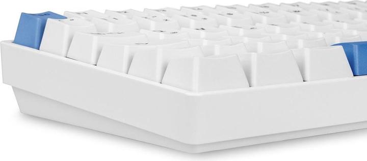 Image du produit Sharkoon Skiller SGK50 S3 PBT (DE, Filaire)