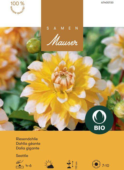 Produktbild Samen Mauser BIO Dekorative Dahlie Seattle (Blumenzwiebel)