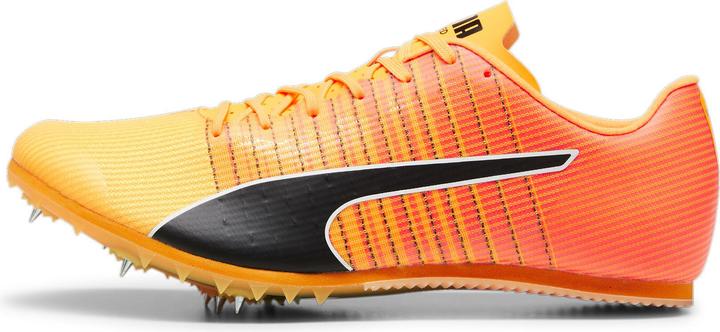 Produktbild Puma evoSPEED FUTURE JUMP 6 (47)