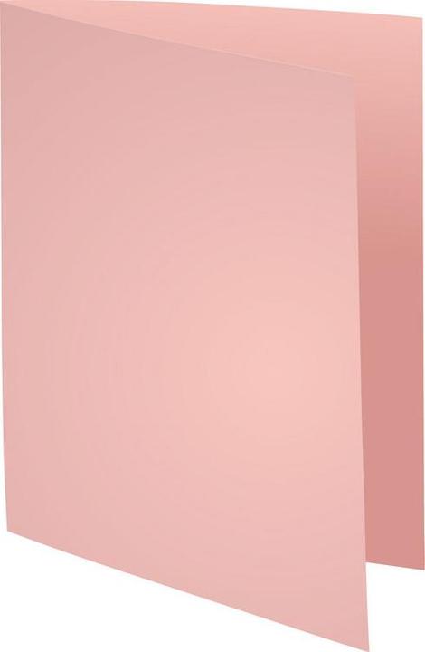 Exacompta BAHIA 220 - File cover A4 (A4, 100 x)