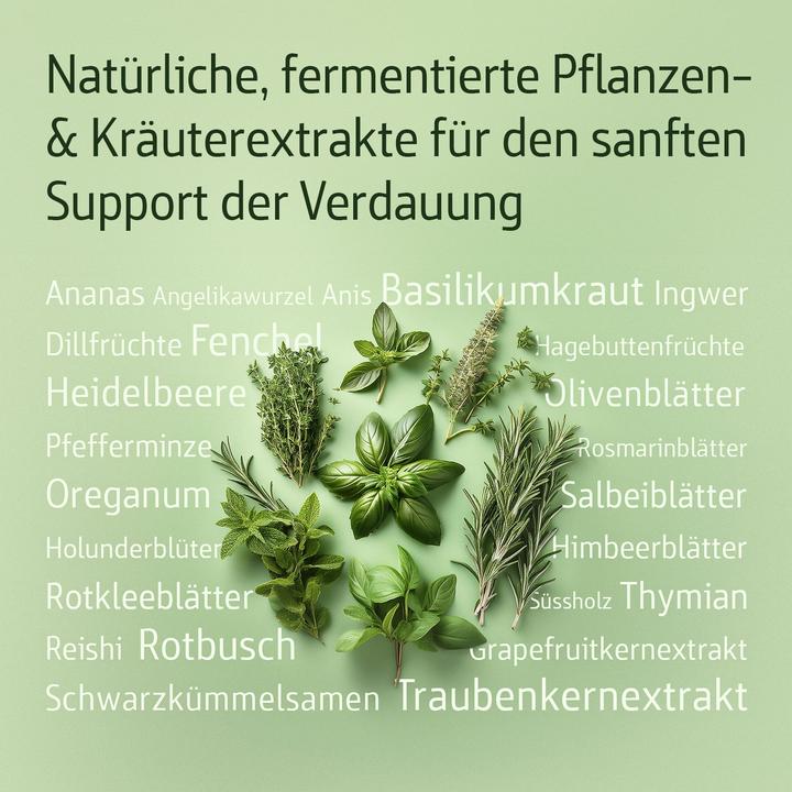 Produktbild Effective Nature Combi Flora Fluid - Bakterienkulturen für Ihren Darm (Flüssigkeit)
