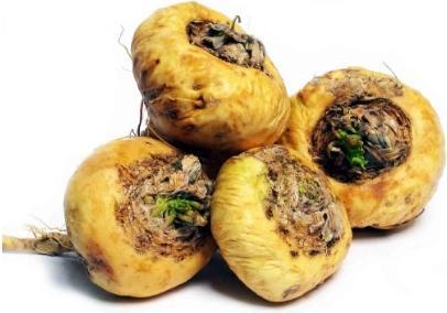 Produktbild Sembrador Maca Bio Plv (266 g)