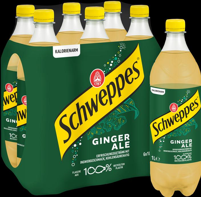 Image du produit Schweppes Ginger Ale (6 x 100 cl)