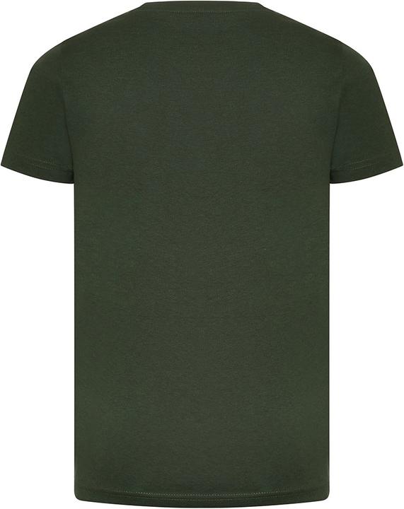 Immagine prodotto Awdis Tshirt Cascades in cotone organico (140, 146)