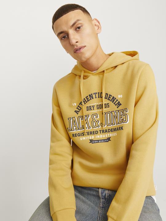 Produktbild Jack & Jones JJELOGO SWEAT HOOD 2 COL 24/25 NOOS (L)