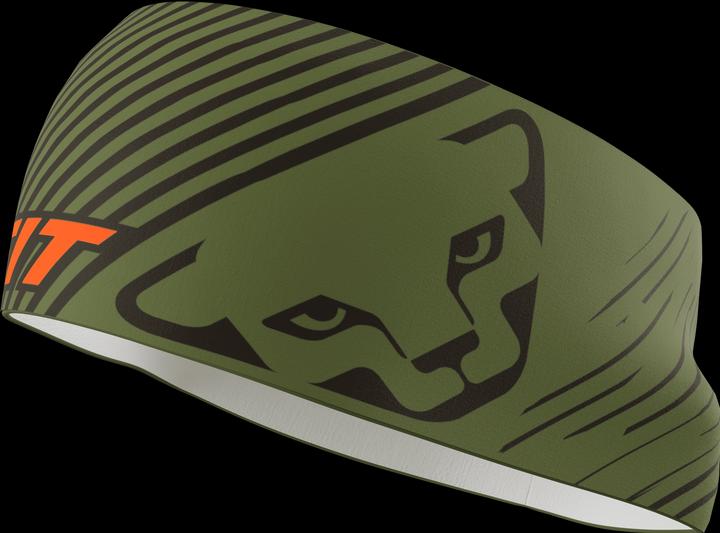 Actual product image Dynafit graphic performance