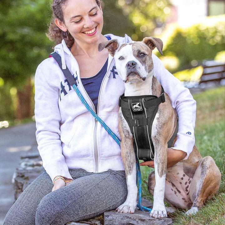 Productafbeelding Kurgo Tru-Fit Smart Harnas met Veiligheidsgordel Tether M Zwart - (604.1222) (M, Hond, Loop)