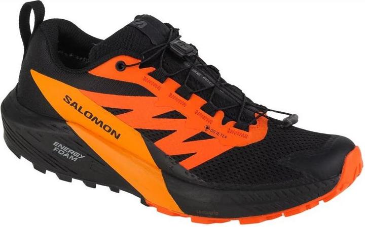 Salomon Sense Ride 5 GTX Herren Trailrunningschuhe (44)