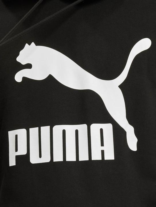 Actual product image Puma Classics Logo Hoodie TR-530084 (M)