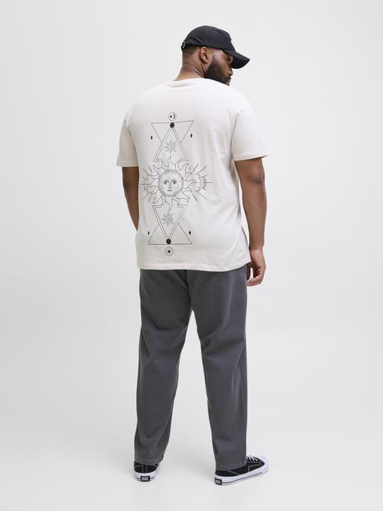 Actual product image Jack & Jones Jpstkane Fctry Fabric2 L2 Chino Pant Pls (W46/L32)