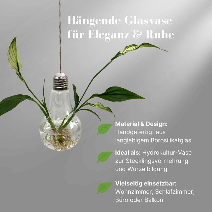 Produktbild Hermex Hängende Glasvase (1 x, 8 x 8 x 14 cm)