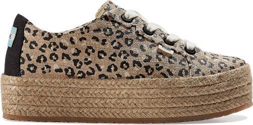 Toms W's Cassiah Canvas (41)