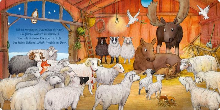 Produktbild Kommt und seht! Der kleine Elch ist geboren (Deutsch, Susanne Lütje, 2021)