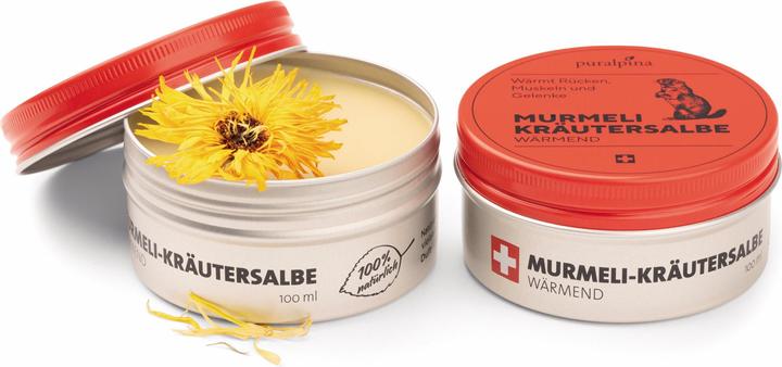 Produktbild Puralpina Murmeli-Kräutersalbe (1 x, 100 ml, 120 g)
