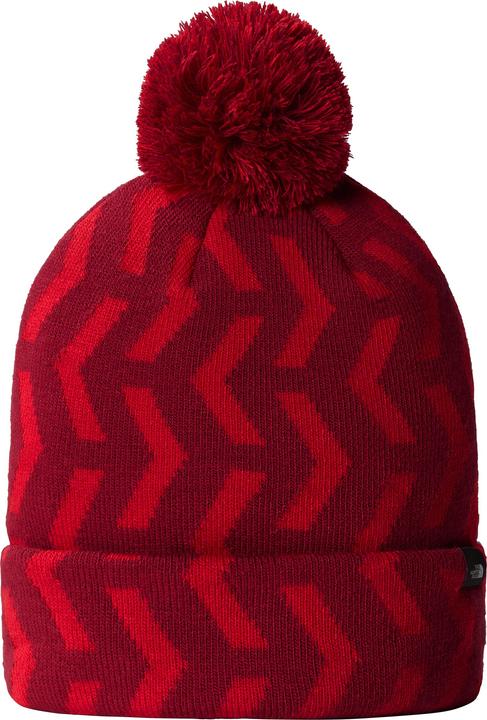 North Face Ski Tuke