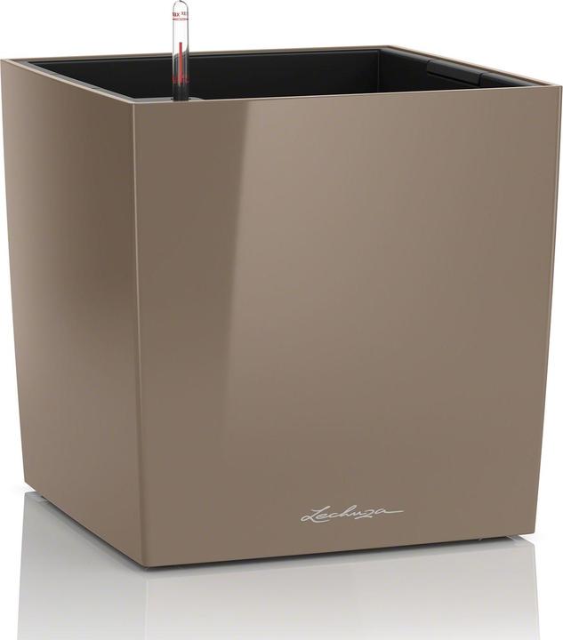 Actual product image Lechuza Cube (39 cm)
