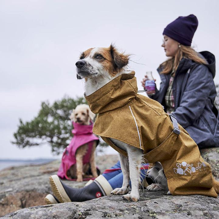 Actual product image Hurtta Monsoon V2 Eco green mackintosh, 60 cm (60, Dog raincoat)