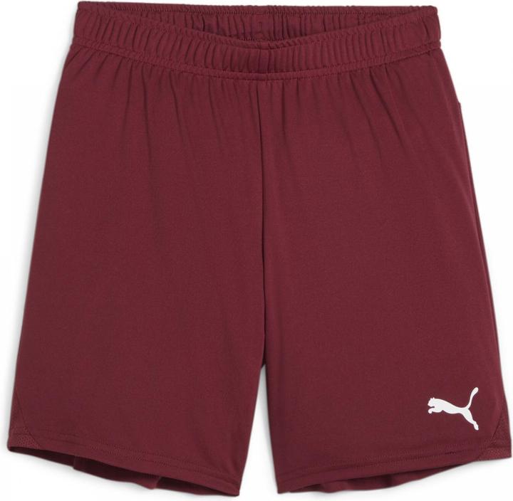 Actual product image Puma teamGOAL Shorts Jr (164)