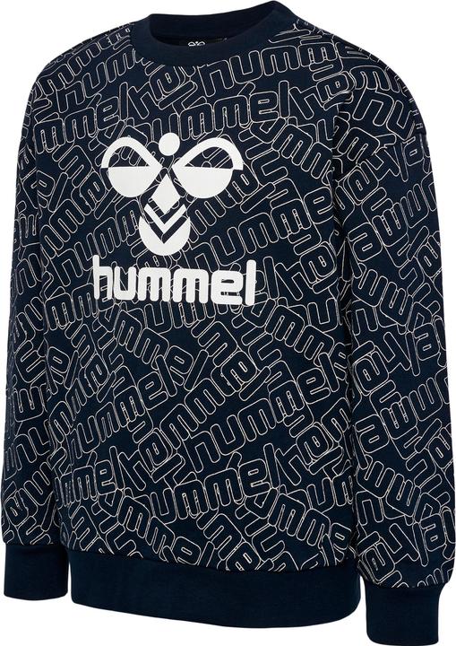 Actual product image hummel Carson Sweatshirt (140)