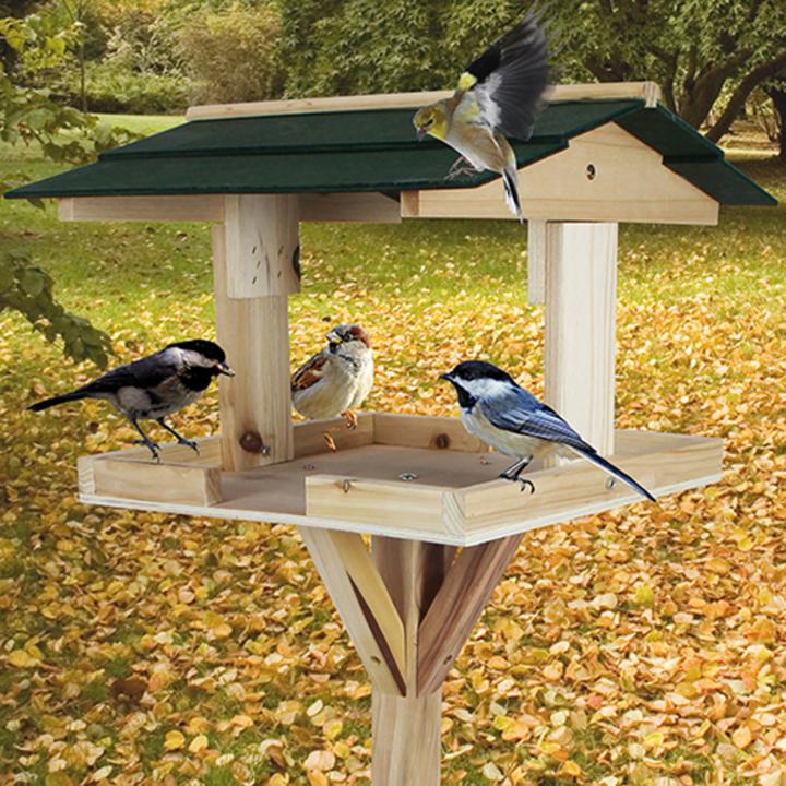 Immagine prodotto Lifetime Mangiatoia per uccelli con supporto (115x35x35 cm)