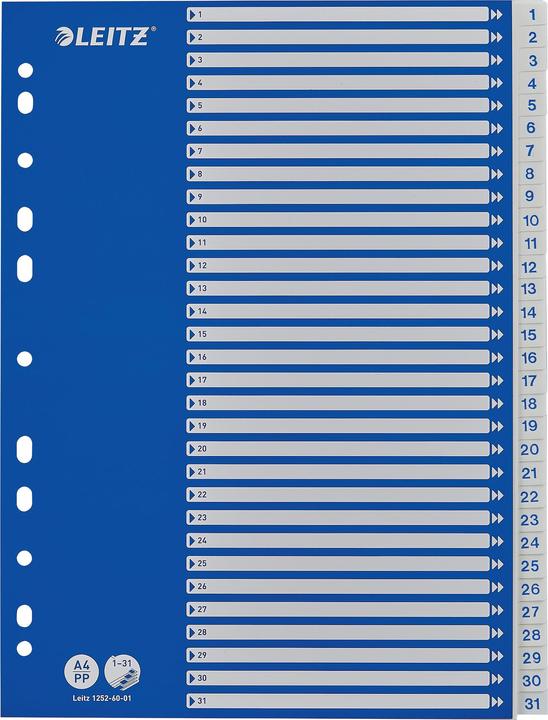 Actual product image Leitz PP registers with blue cover sheet, various designs, single