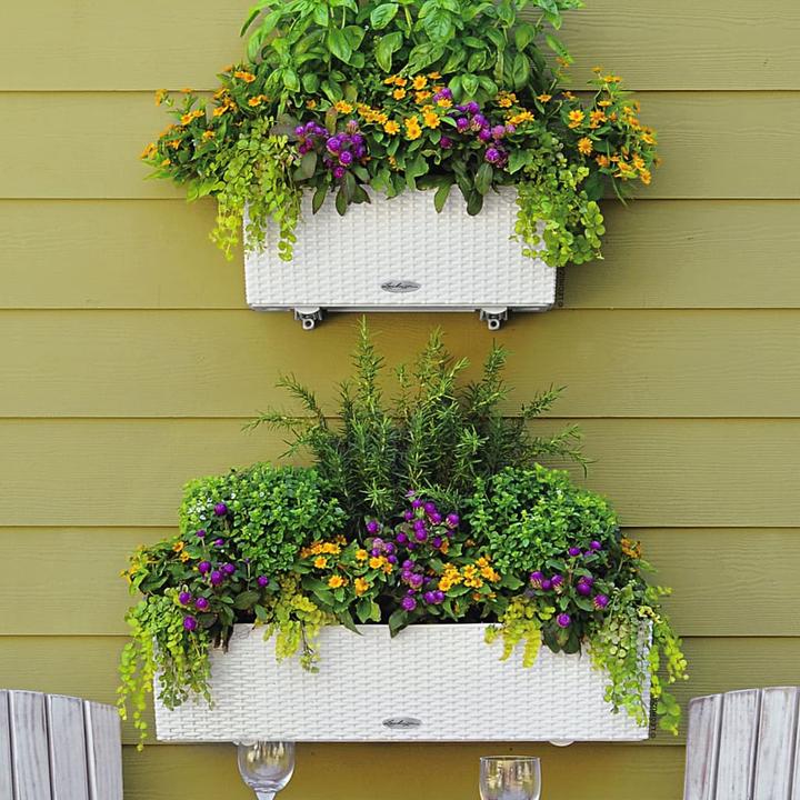 Immagine prodotto Lechuza Balconera Cottage (19 cm)