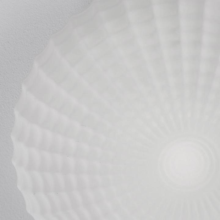 Produktbild Nova Luce Clam (E27)