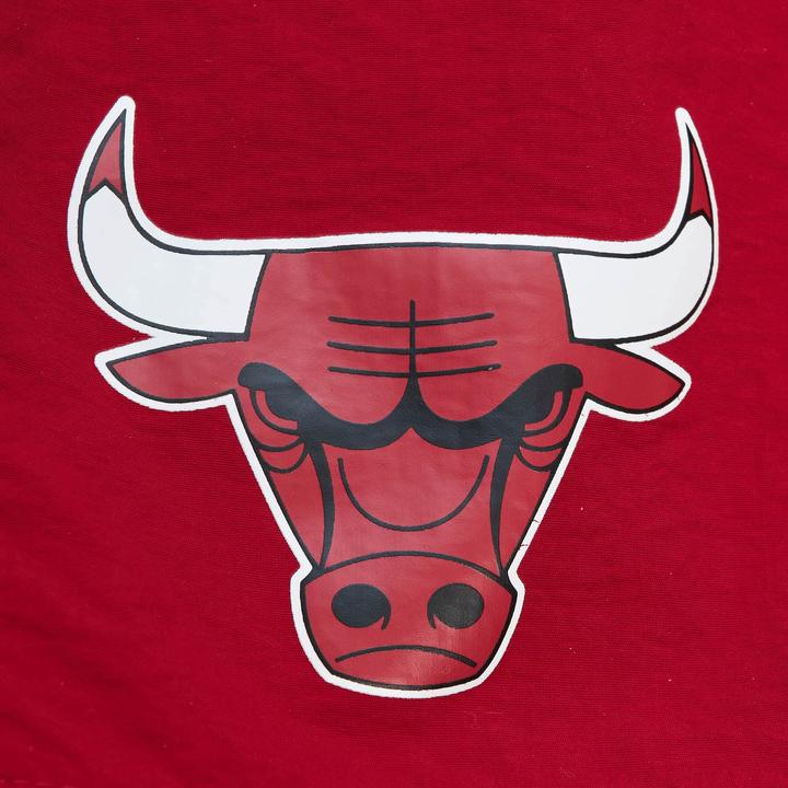 Actual product image Mitchell & Ness M&N Team Heritage Woven Shorts Chicago Bulls - L (L)