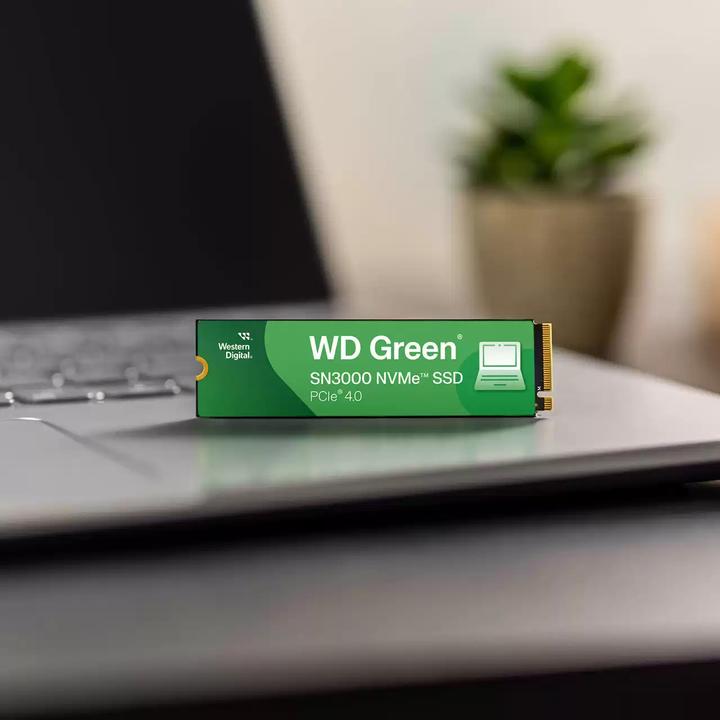 Immagine prodotto WD Green SN3000 (500 GB, M.2 2280)