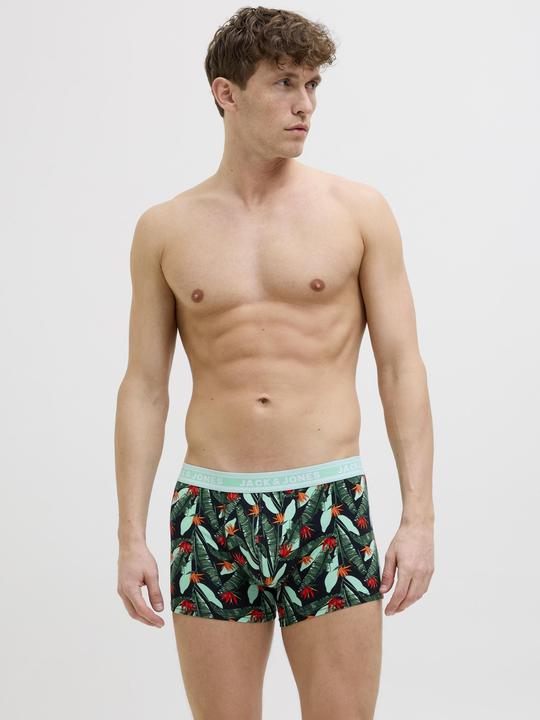 Actual product image Jack & Jones 5er-pack Shorts Shorts (S, 5-pack)