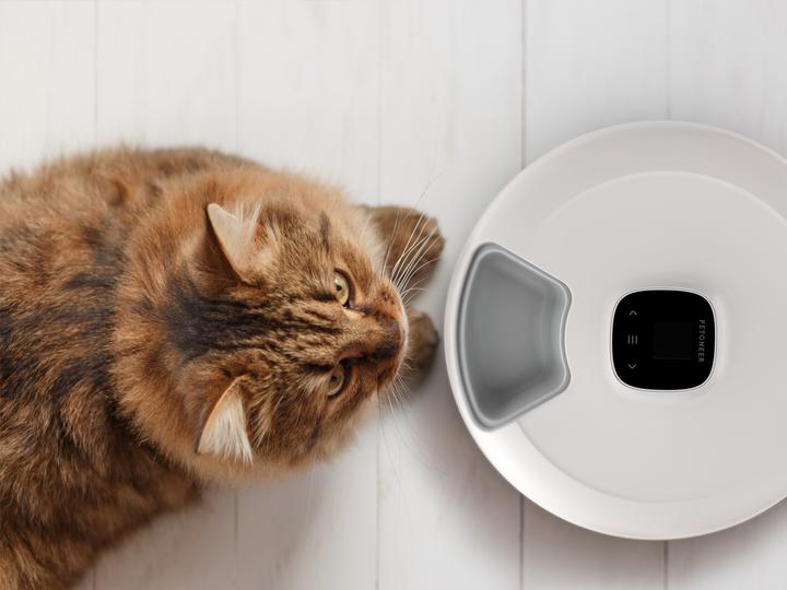 Actual product image Petoneer NutriSpin 6 Meal Pet Feeder (0.17 l)
