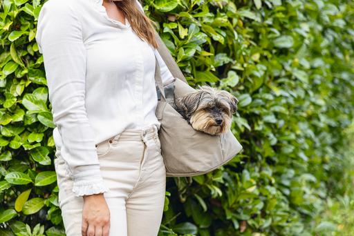 Produktbild Designed by Lotte Tragetasche (Hund, Komplett zu öffnen)