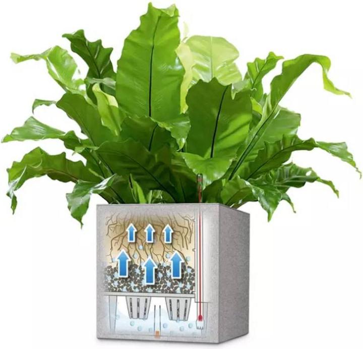 Produktbild Lechuza Canto Color Würfel (30 cm)
