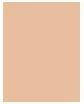Actual product image Sisley Phyto-Teint Ultra Ã‰clat (2W2 Desert)