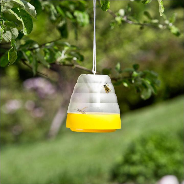 Produktbild Windhager Wespenfallen