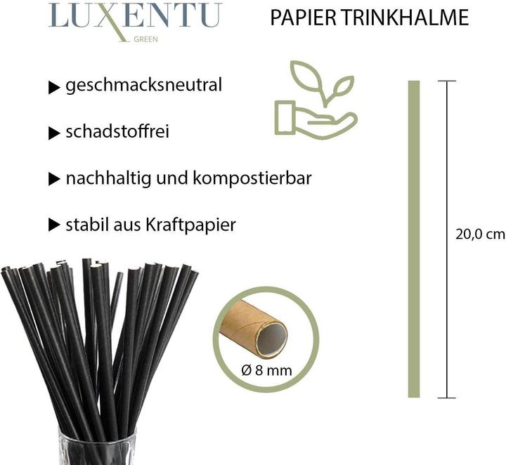 Actual product image Luxentu Paper drinking straws Jumbo (100 x)