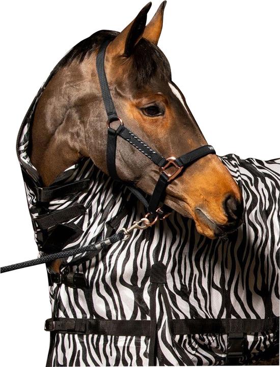 Image du produit Licol pour chevaux Bradshaw