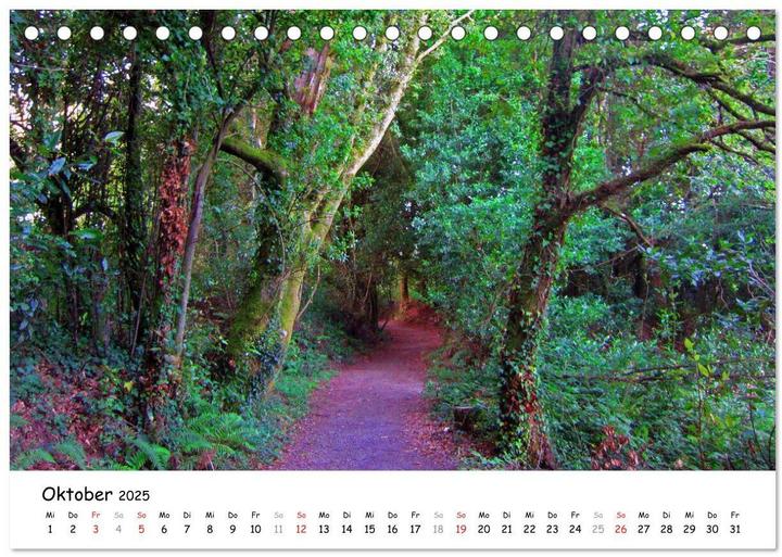 Actual product image Jakobsweg - Camino Ingles (Tischkalender 2025 DIN A5 quer), Monatskalender (A5, German)