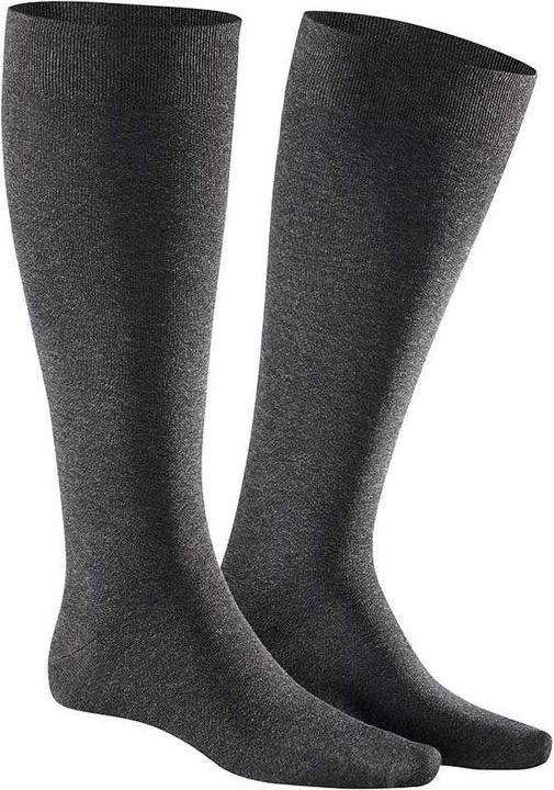 Actual product image Kunert Men support knee socks (Single pack, 41 - 42)