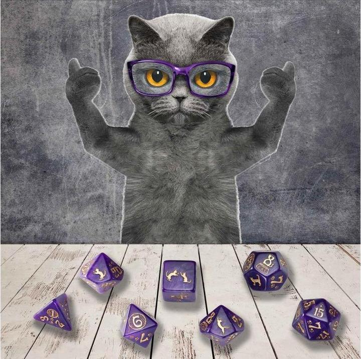 Actual product image Q Workshop SCAT4V - CATS Dice Set: Purrito