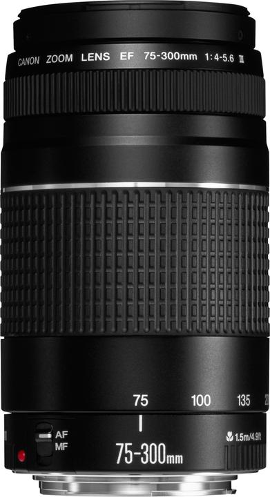 Produktbild Canon EF 75-300mm f/4.0–5.6 III (Canon EF, APS-C / DX)