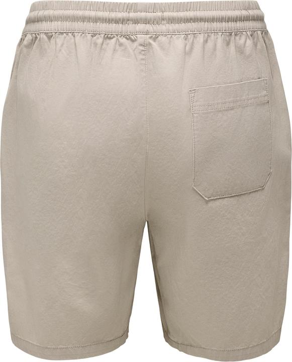 Actual product image Only & Sons Regular fit shorts Shorts (XXL)
