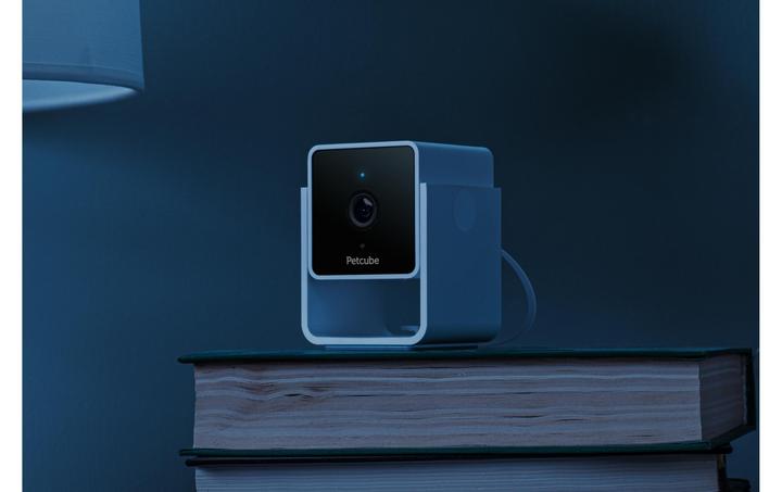 Actual product image Petcube Pet Camera (Catmint toy)